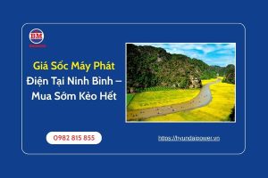 Giá Sốc Máy Phát Điện Tại Ninh Bình – Mua Sớm Kẻo Hết