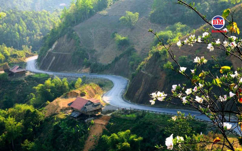 Bối Cảnh Tại Điện Biên Hiện Nay