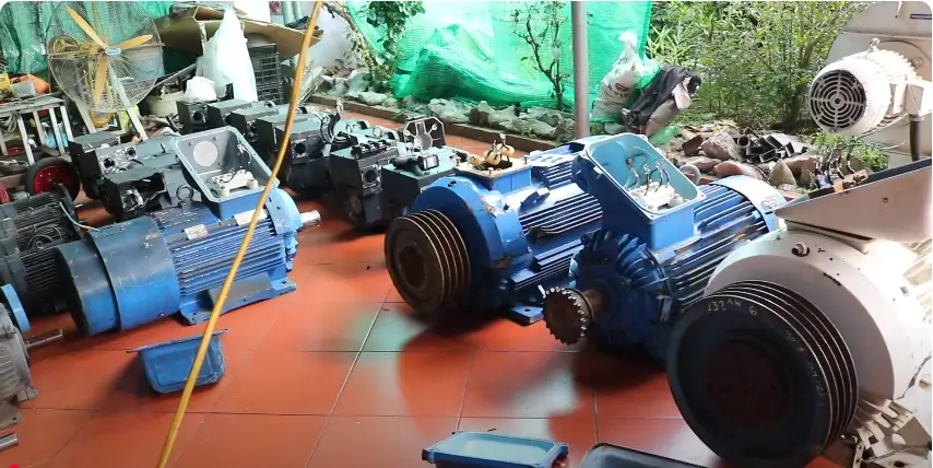 Củ Phát điện Là Gì